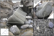 Mumbles Erratic - PID:237317