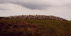 Cefn Bryn Great Cairn