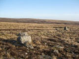 Odyn-fach - PID:259921