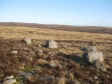 Odyn-fach - PID:259936