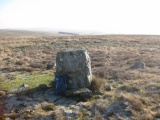 Odyn-fach - PID:259937