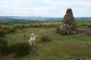 Graig Fawr Ring Cairn