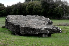 Tinkinswood - PID:159722 Tinkinswood - PID:159722