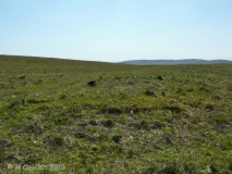 Cefn Bryn SW Cairn