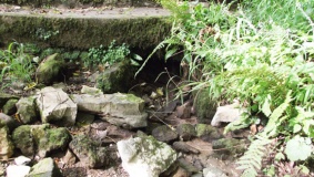 Trinity Well, Ilston