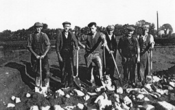 Breach Farm Barrows