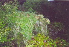 Cae'rarfau