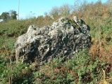 Cottrell Park Standing Stone - PID:10463
