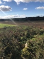 Tythegston - PID:218310