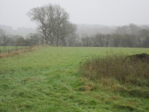 Tinkinswood avenue