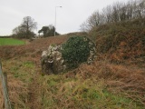 Cottrell Park Standing Stone - PID:221789