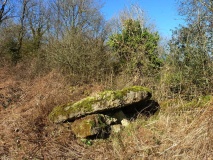Coity
