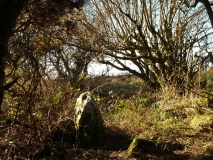 Cefn Cribbwr