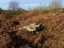 Nicholaston Long Cairn