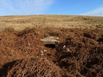Nicholaston Long Cairn