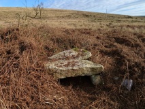 Nicholaston Long Cairn