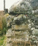 Mynydd Y Gelli