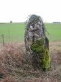 Cottrell Park Standing Stone - PID:221792