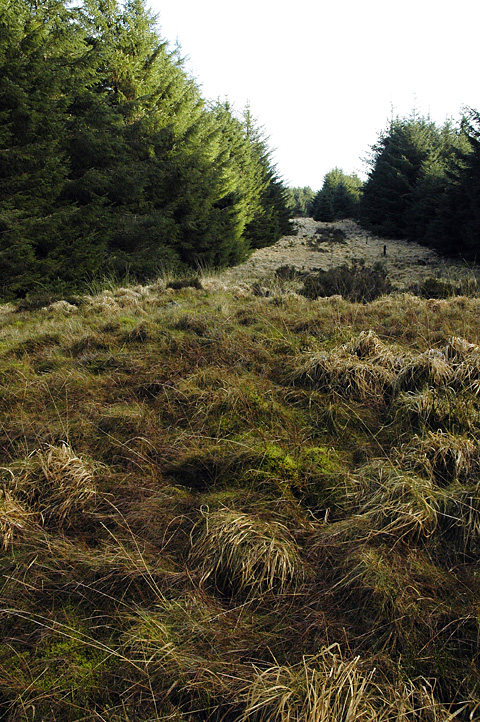Click for the gallery page to add comments and vote (PID:86161) Carn y Wiwer