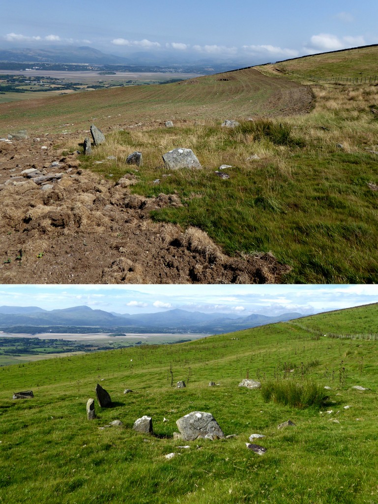 Moel Goedog W