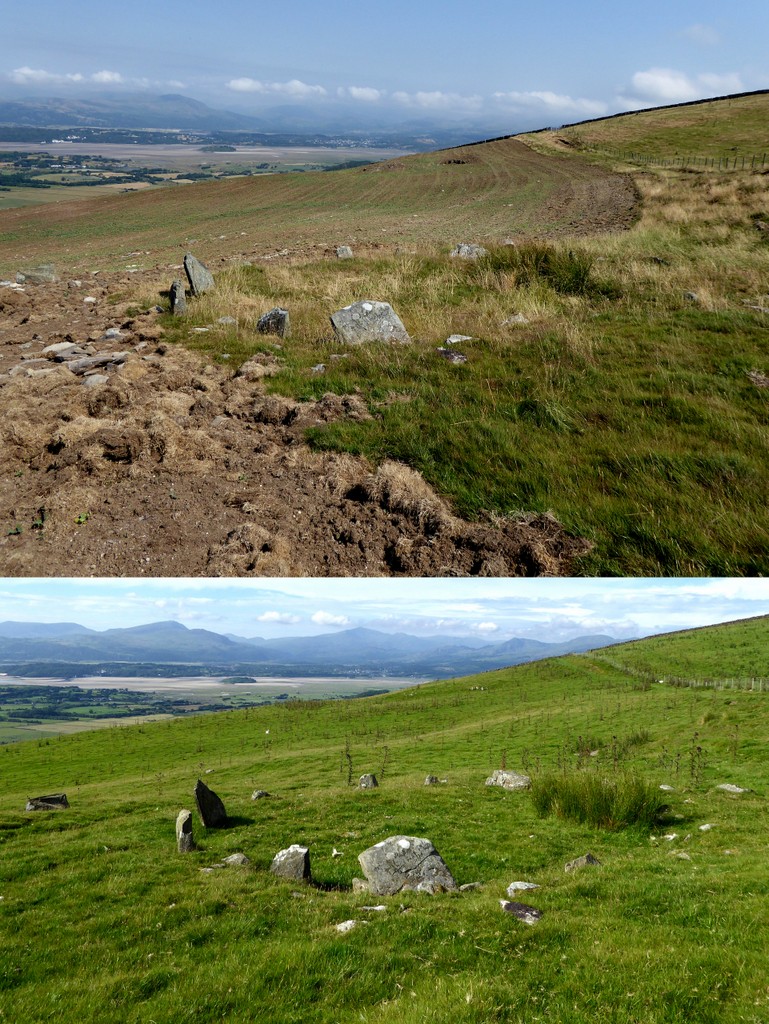 Just visited this favourite circle of mine and I was so sad to see that the plough has been taken so close to it.  This is a comparison of this year's visit to last year's visit .