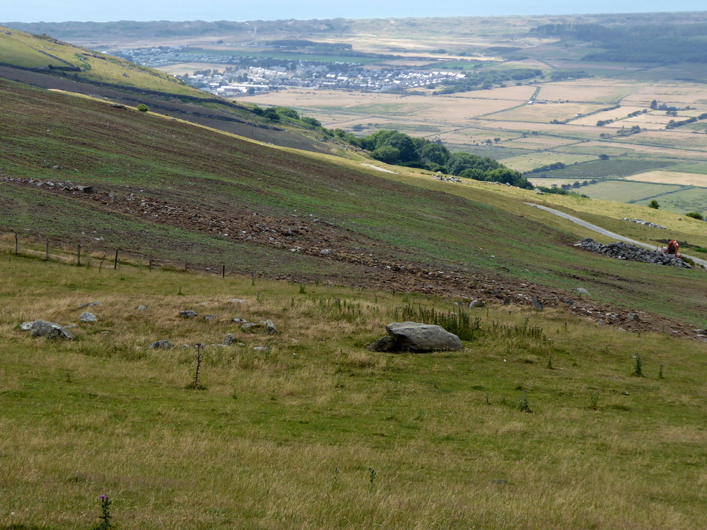 Moel Goedog W