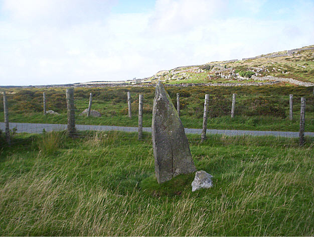 Moel Goedog 8
