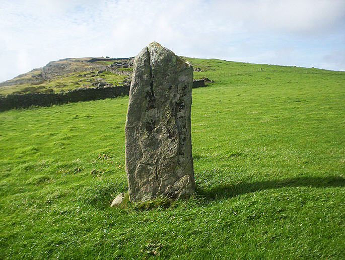 Moel Goedog 7