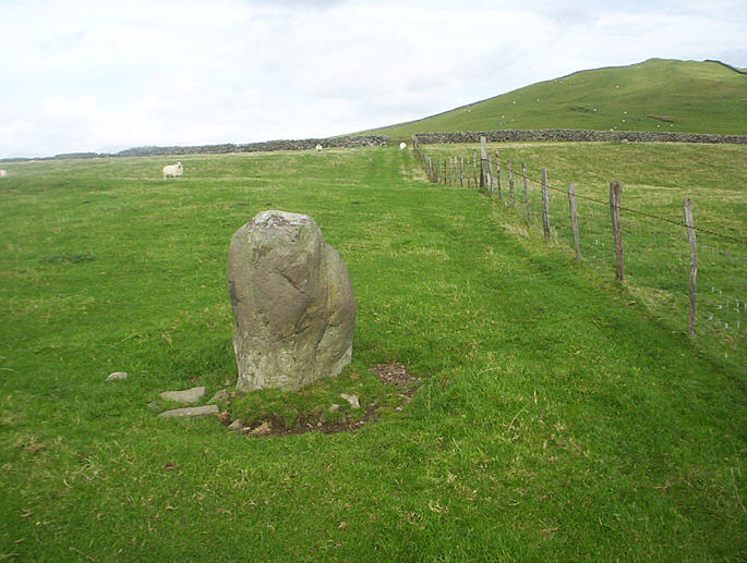 Moel Goedog 3