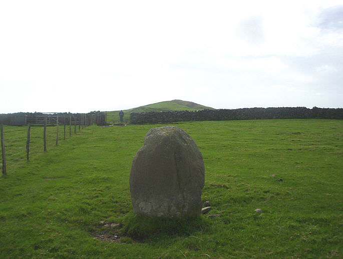 Moel Goedog 5