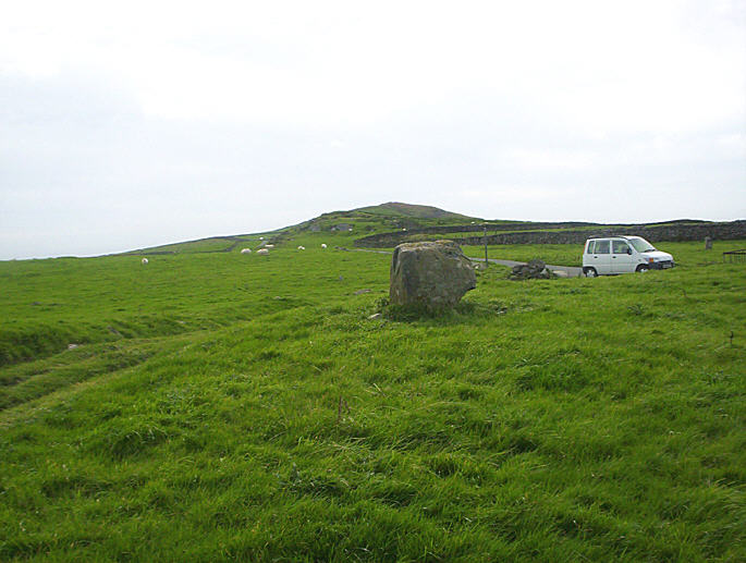 Moel Goedog 2