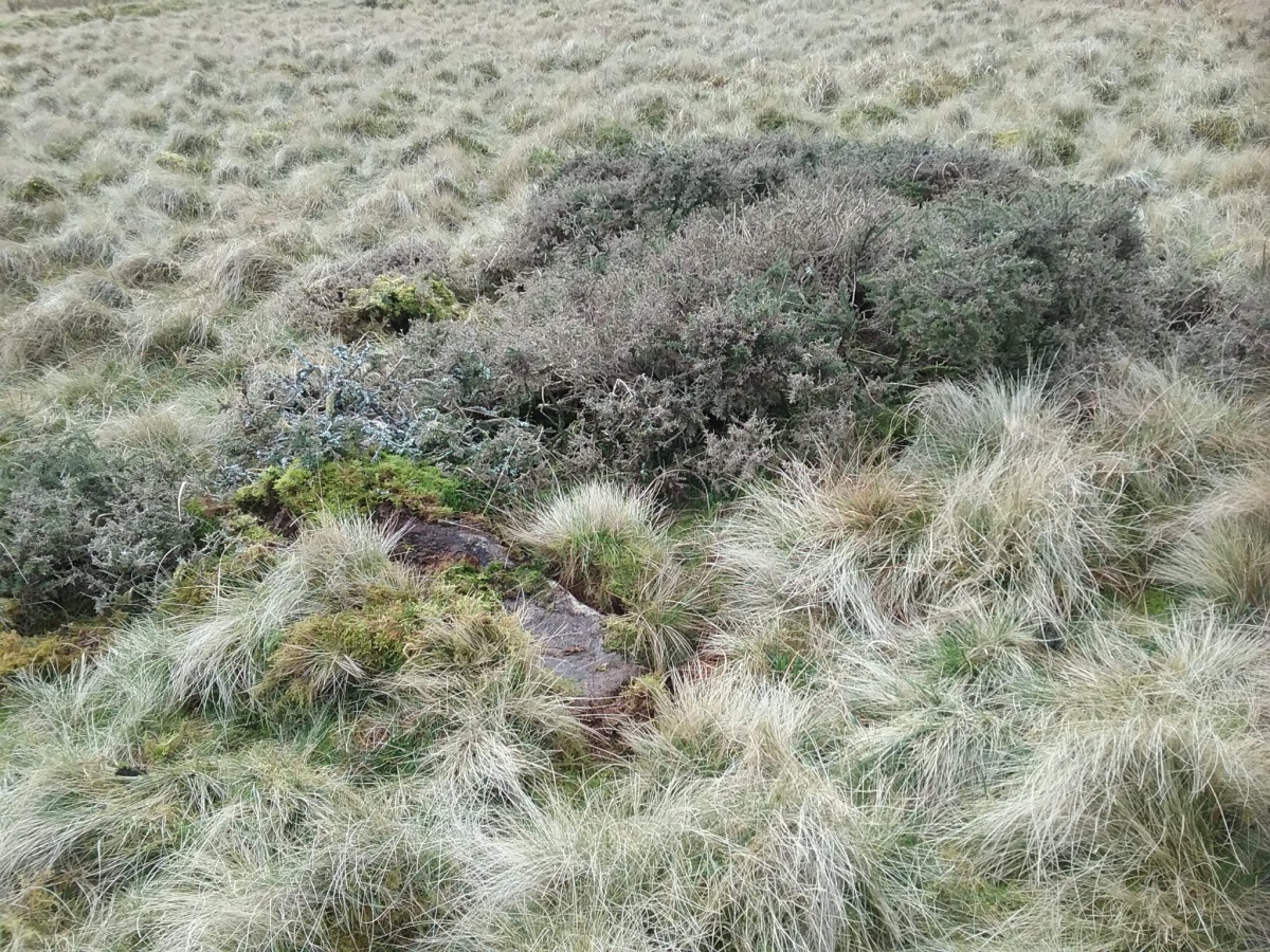 Click for the gallery page to add comments and vote (PID:237559) Llyn Eiddew Bach Ring Cairn 1