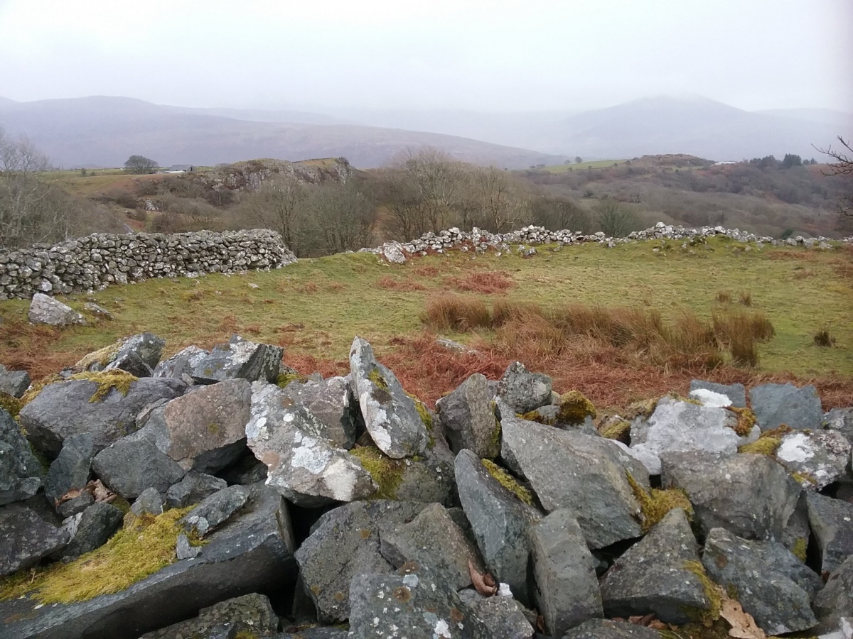 Tyddyn Du Circular Enclosure