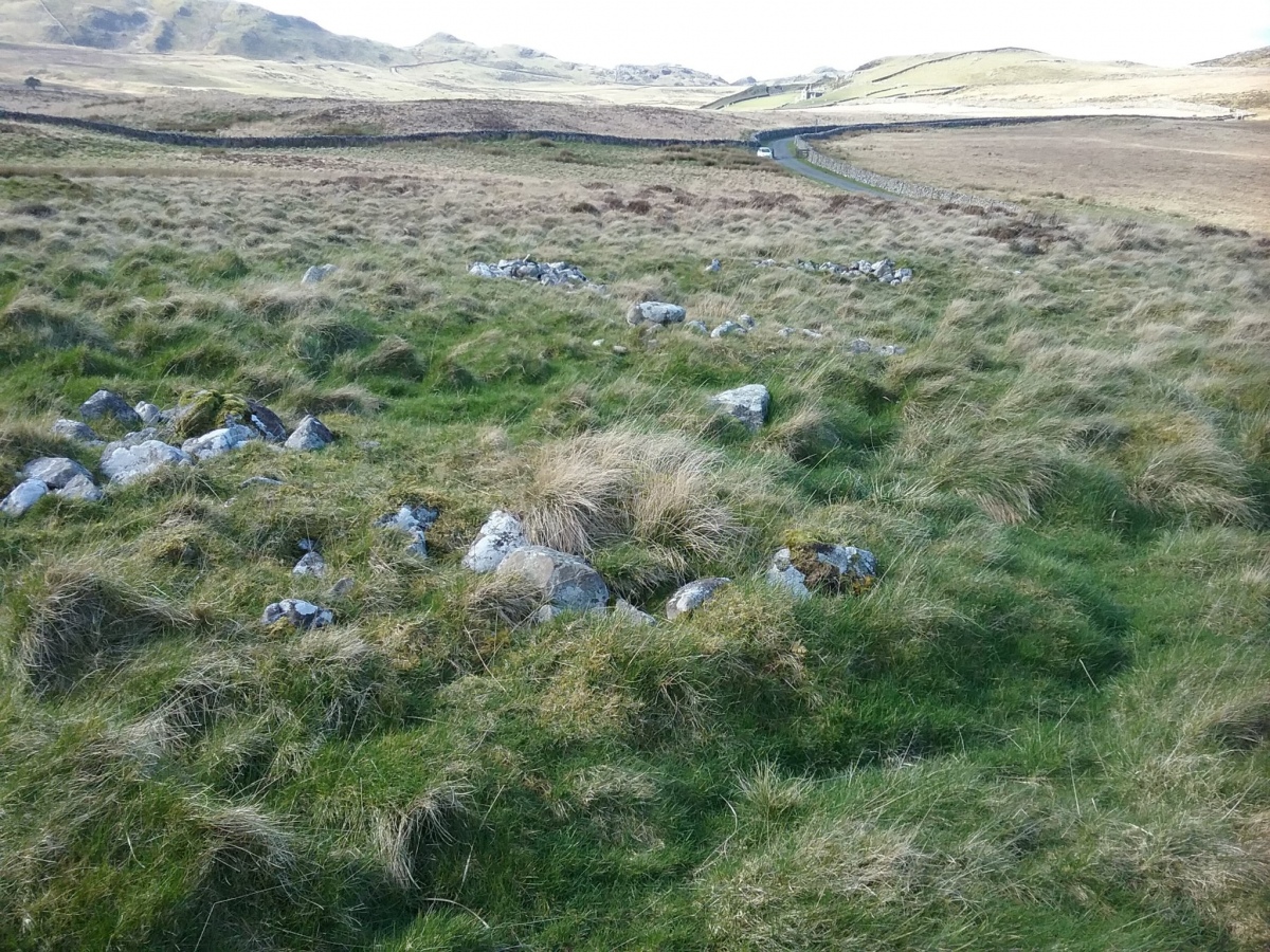 Settlement East of Tyrrau Mawr