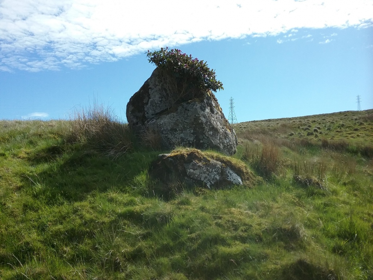 Click for the gallery page to add comments and vote (PID:242170) Afon Taihirion Standing Stone