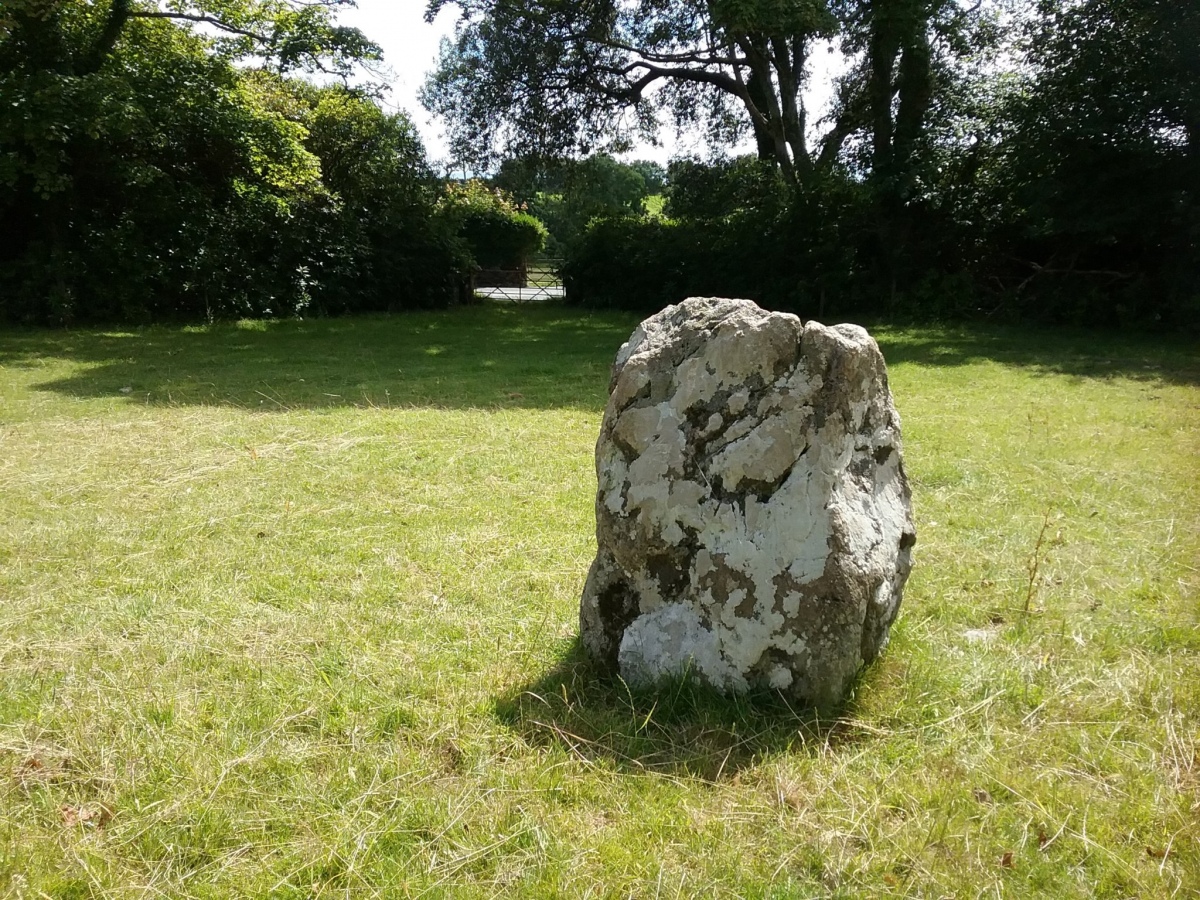 Click for the gallery page to add comments and vote (PID:244418) Bron Eifion Standing Stone