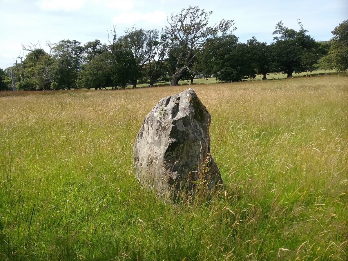 Click for the gallery page to add comments and vote (PID:244425) Standing Stone West of Lon Fel