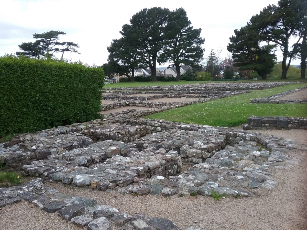 Segontium (PID:257132 ) Segontium