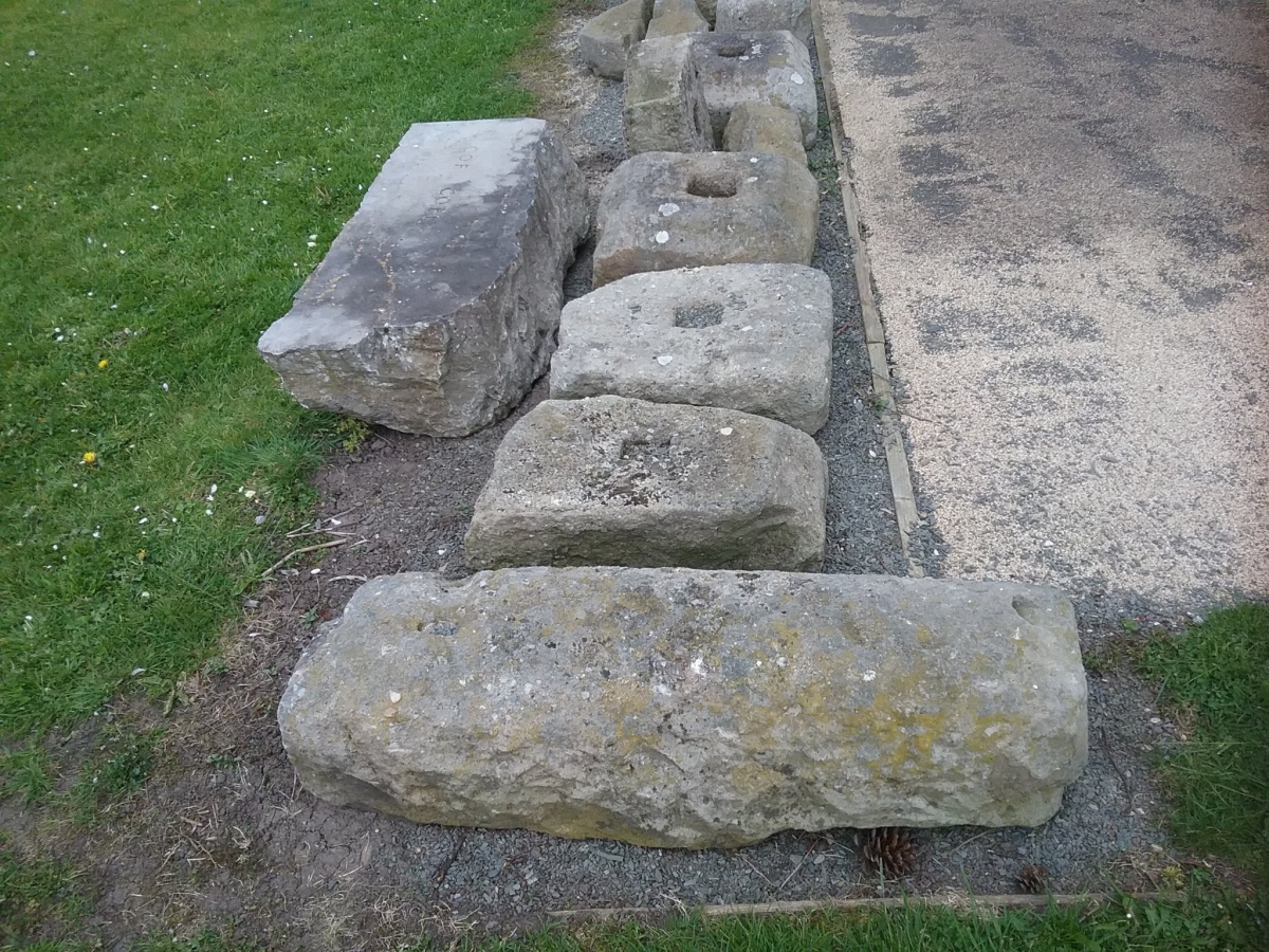 Click for full size image of Segontium (PID:257134) Segontium