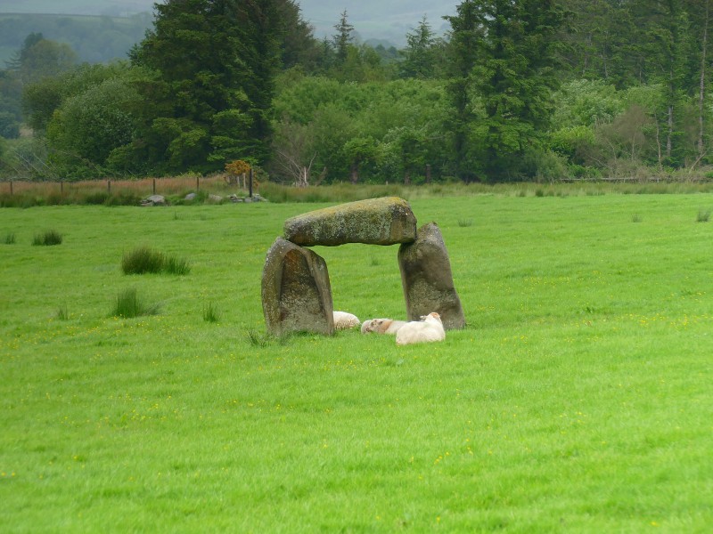 Garnedd-hir Modern Dolmen