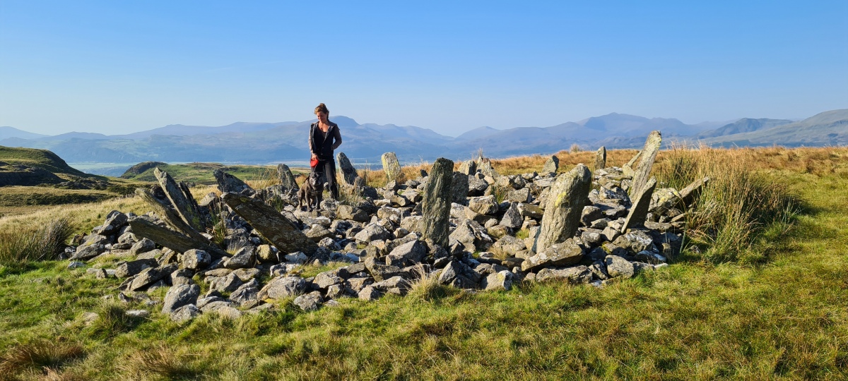 Click for the gallery page to add comments and vote (PID:278884) Bryn Cader Faner