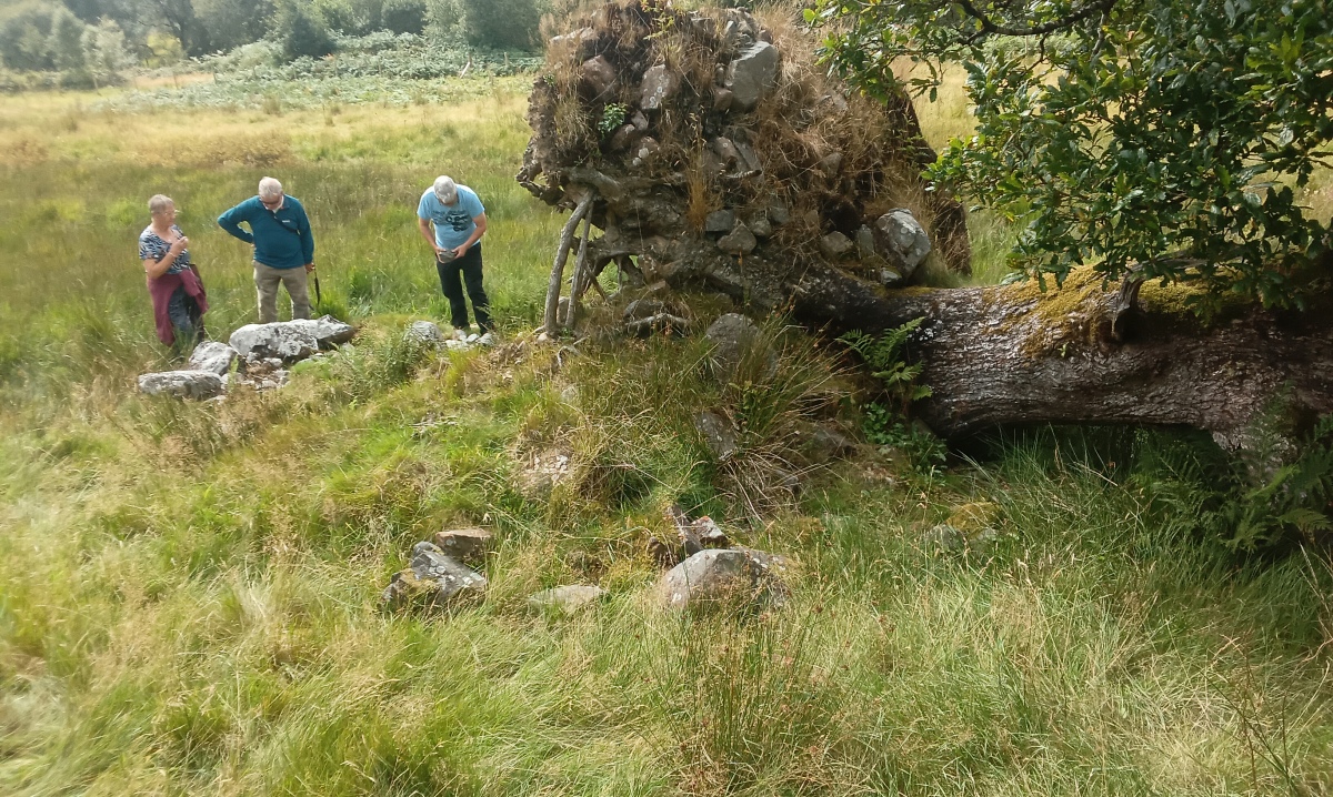 Possible Cairn at Ty'n Llwyn