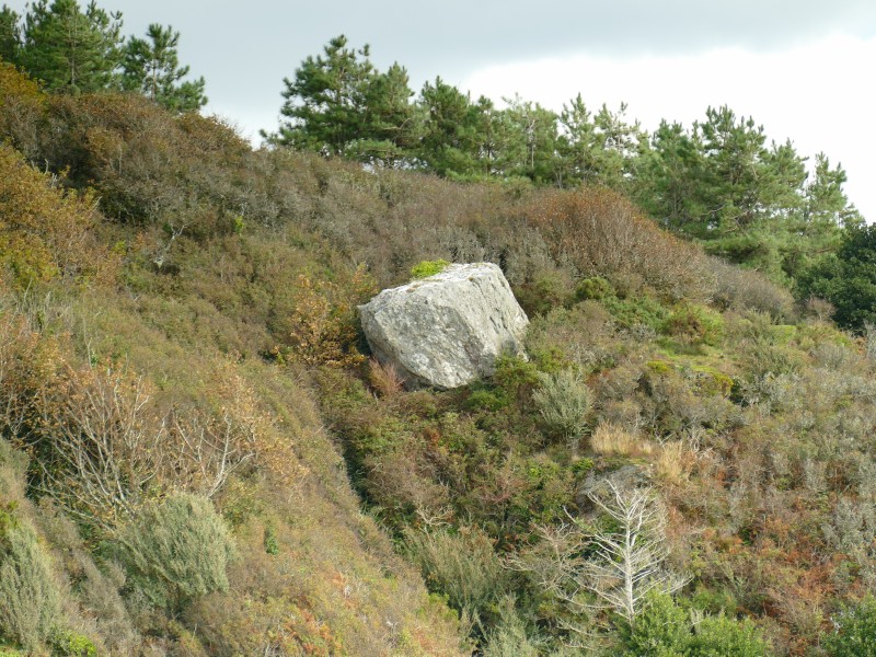 Morfa Bychan.Erratic