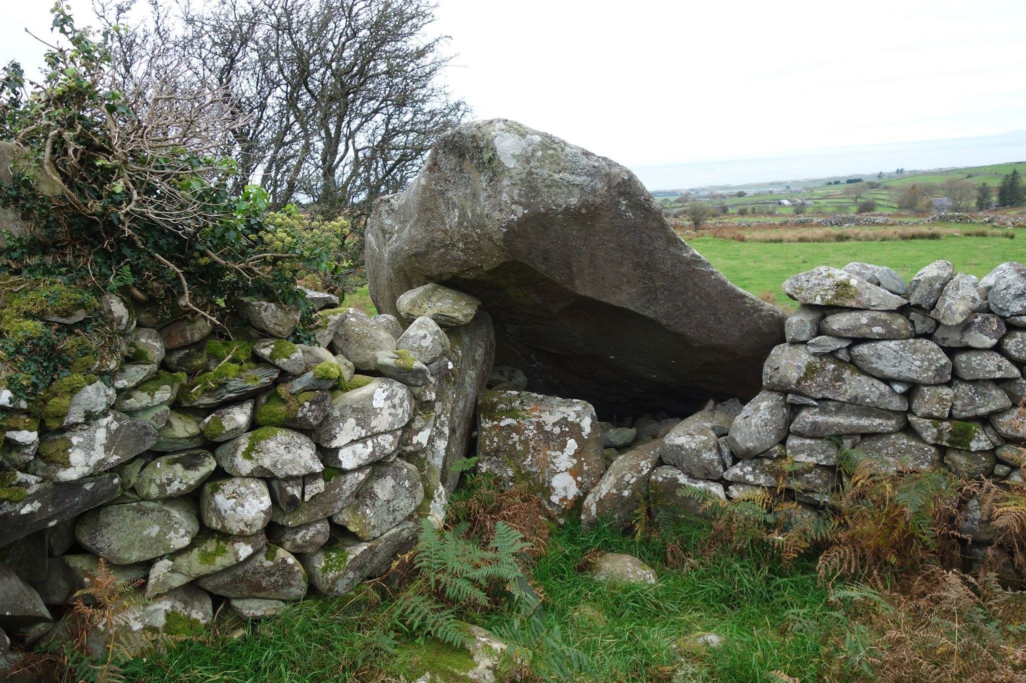 Bron Y Foel Isaf