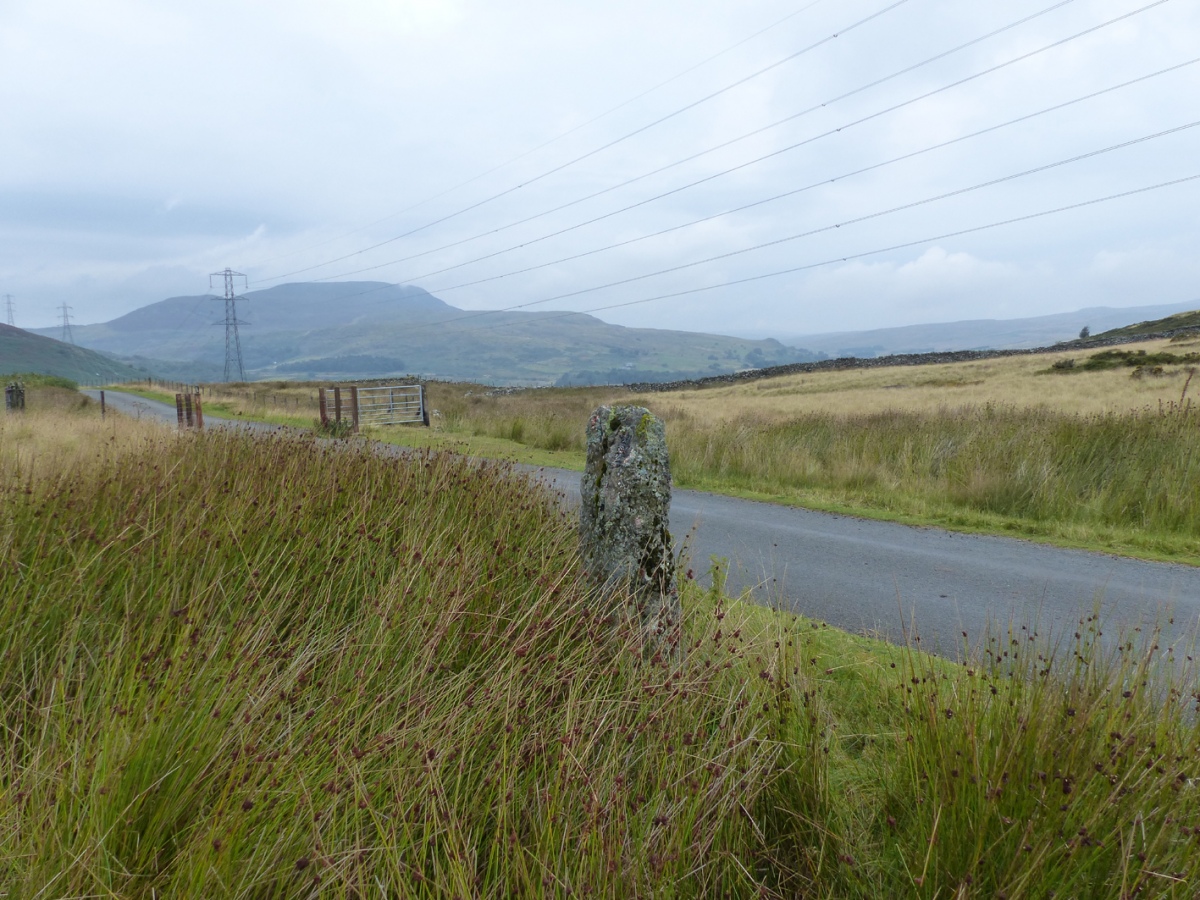 Click for the gallery page to add comments and vote (PID:246964) Llidiardau