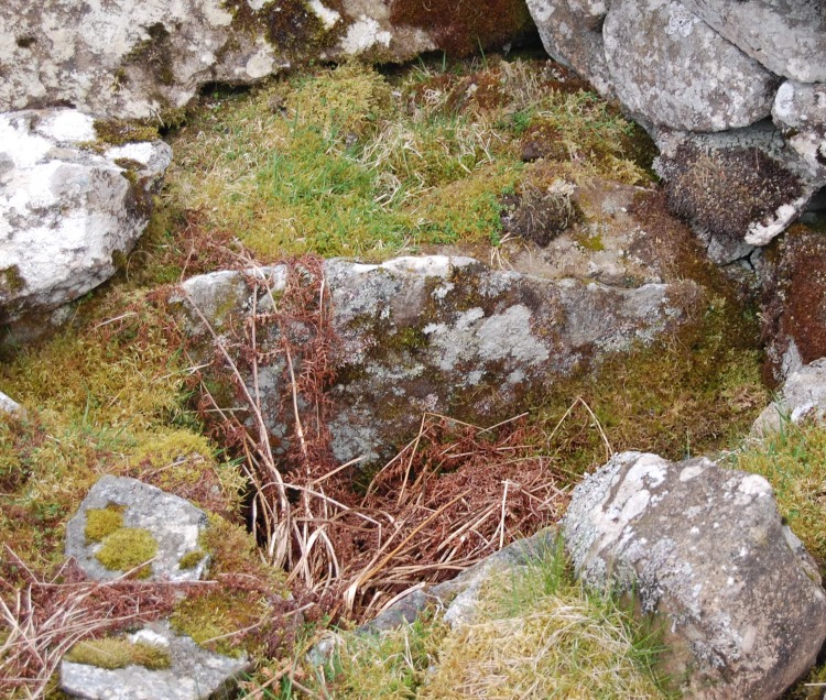 Click for the gallery page to add comments and vote (PID:72401) Bedd-y-brenin