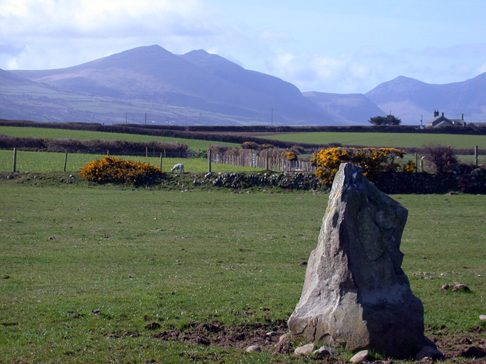 Click for the gallery page to add comments and vote (PID:20304) Bodfan Standing Stone