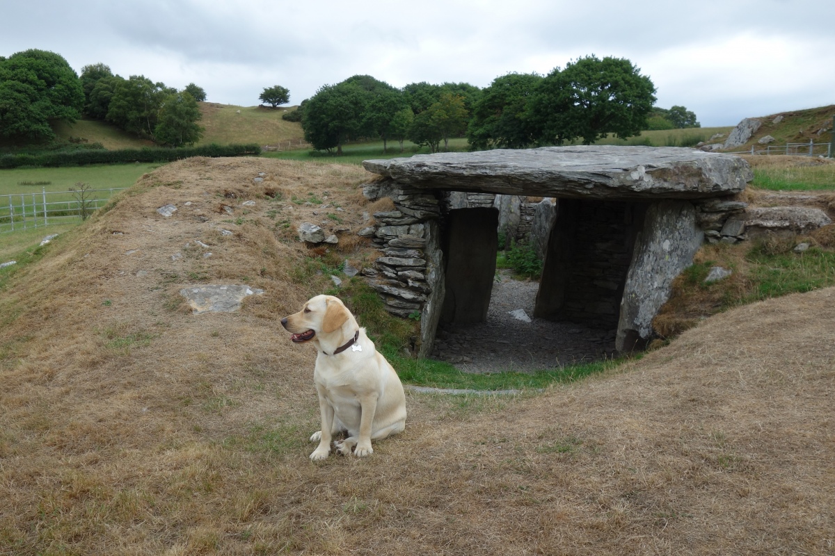 Pooch on sentry duty at Capel Garmon