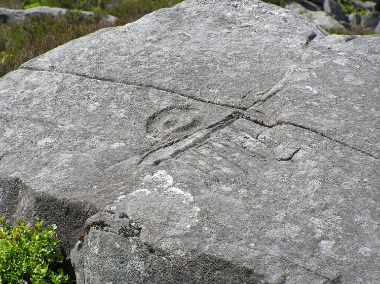 Click for the gallery page to add comments and vote (PID:41750) Llyn Du Carved stone