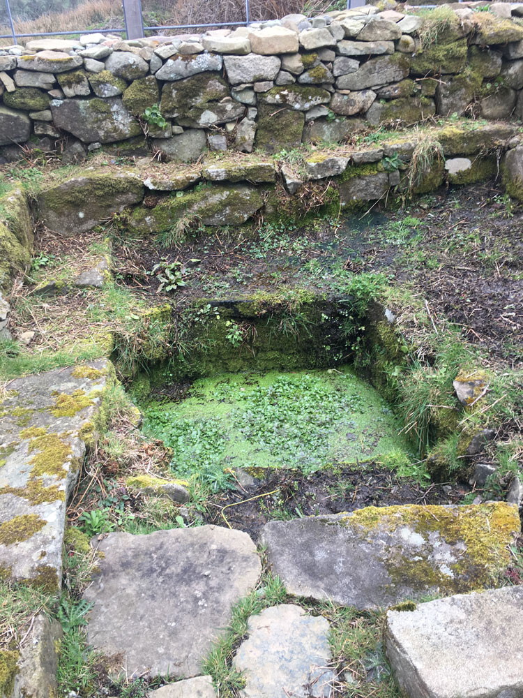 Click for the gallery page to add comments and vote (PID:179604) Ffynnon Aelrhiw